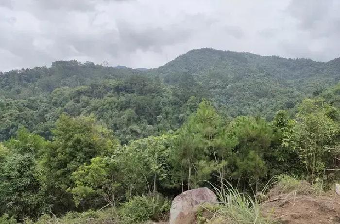 1898年7月，西伯利亚舒申斯克村，一对无神论革命者在教堂完成婚礼，最大反差在于