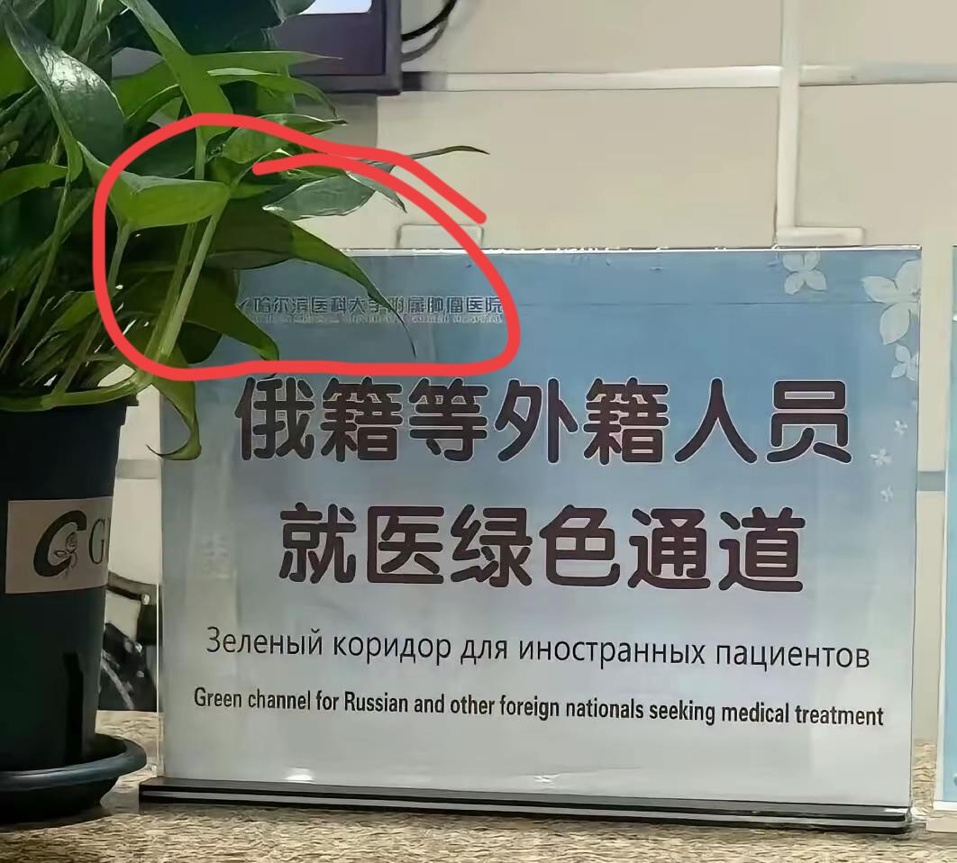 这样写也没什么毛病。哈尔滨医科大学一看都是在黑龙江那边的，那边俄罗斯人多，比如弗