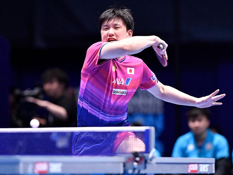 张本智和张本智和2026年伦敦世乒赛 小组赛第二场（日本vs中国台北）图片📷P