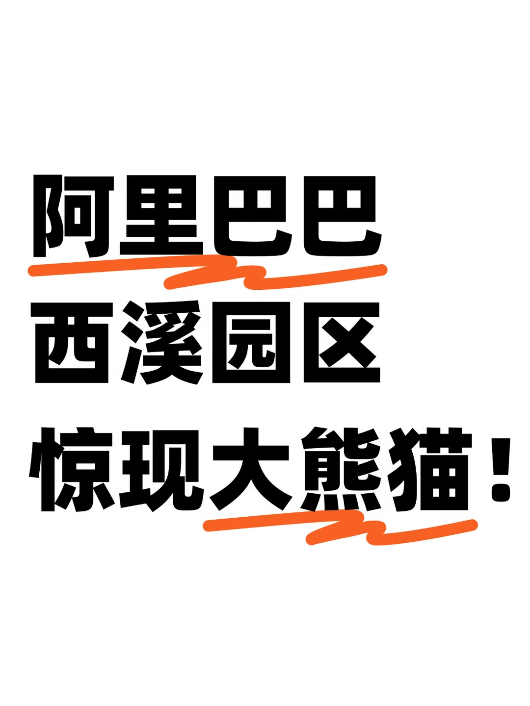 笑死！阿里速卖通员工集体遛熊猫，太会玩了