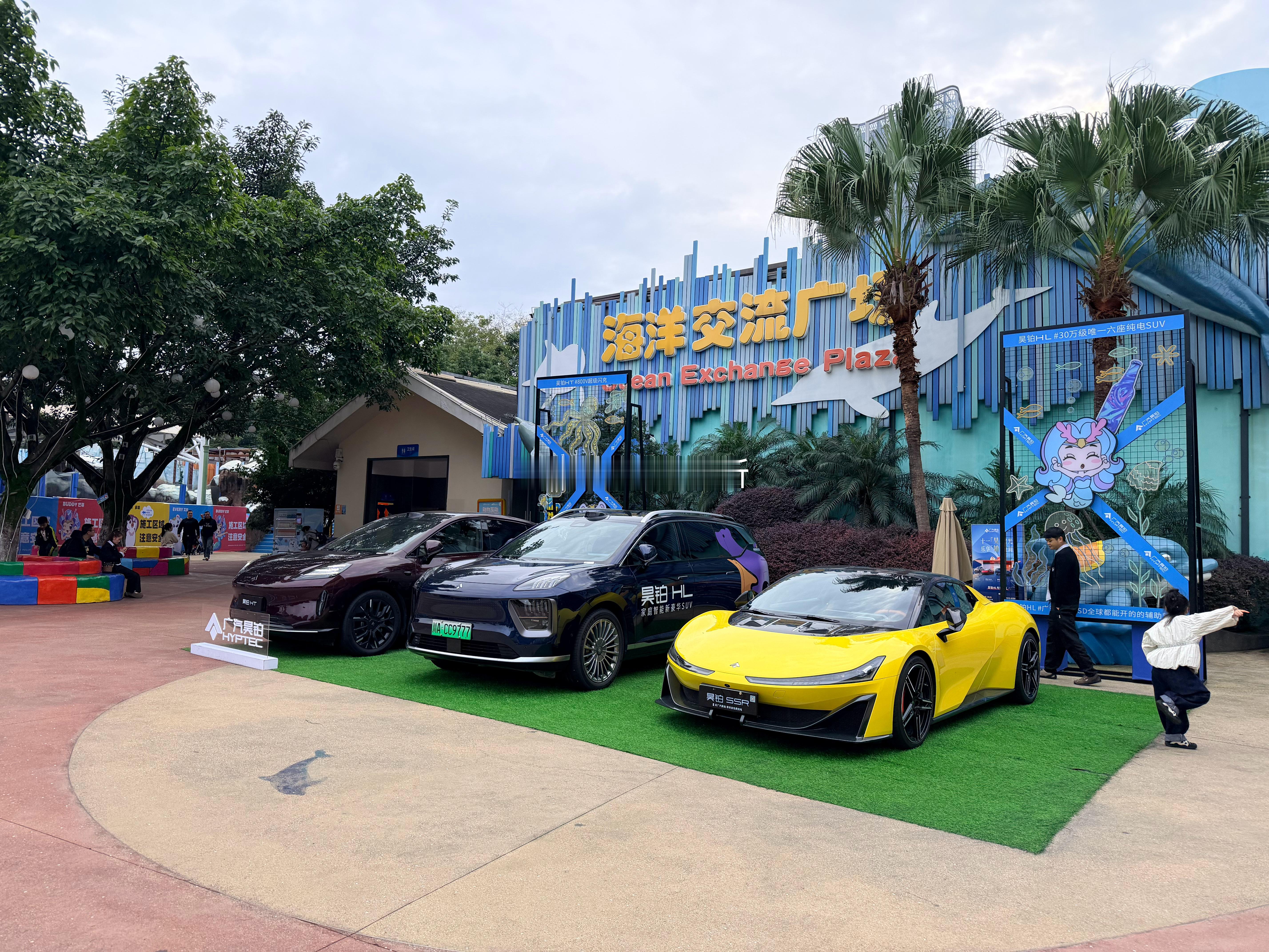 这里应该比亚迪来摆展，海豹，海狮，海豚，海鸥摆一排更符合这个场景。  ​​​