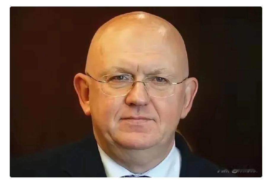 针对美国侵略委内瑞拉举行的紧急会议上，俄罗斯代表发言内容一针见血地指出了美国的霸