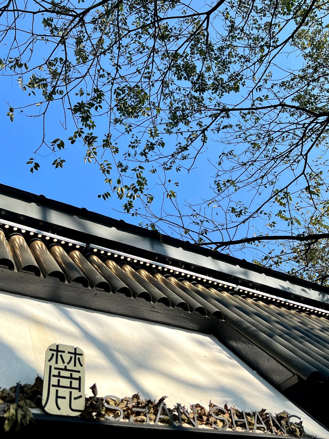 长沙适合放空待一下午的8家小店…（合集分享