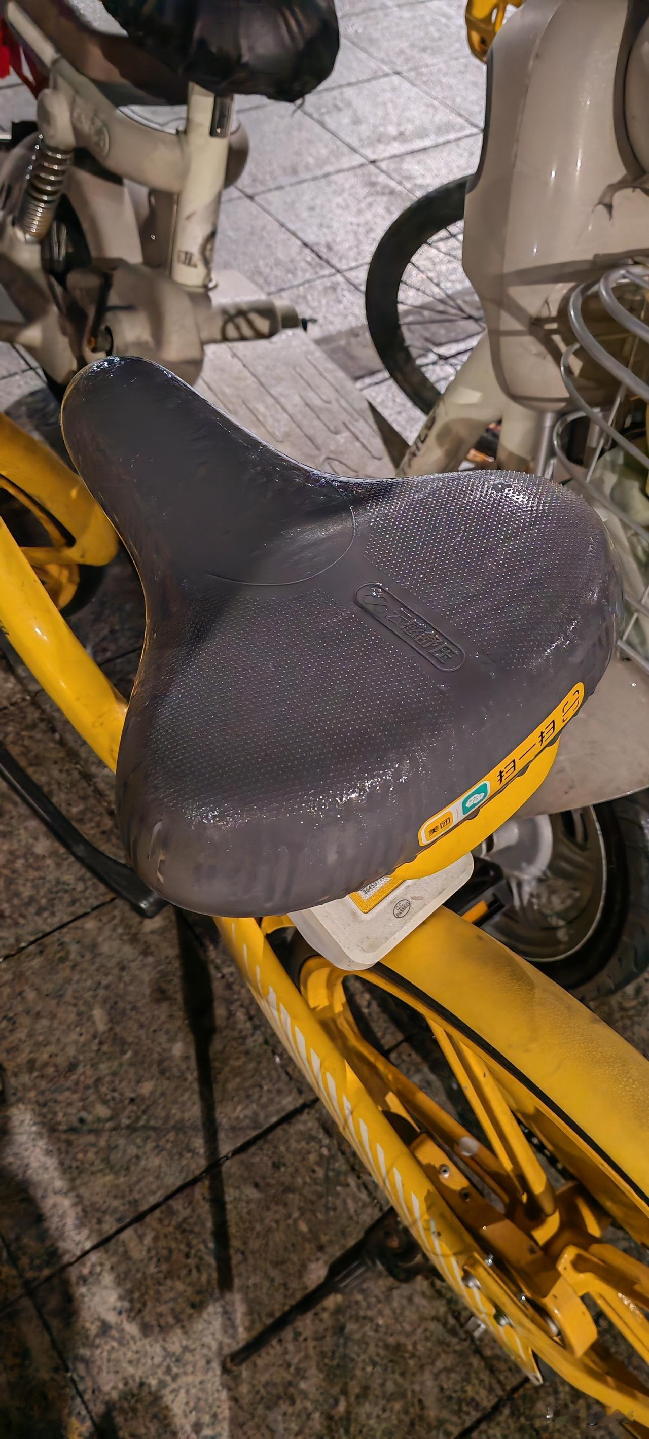 今天是大雪节气了，早上下班直接去后海市场。
我锁单车时，忽见另一辆单车的车座上全