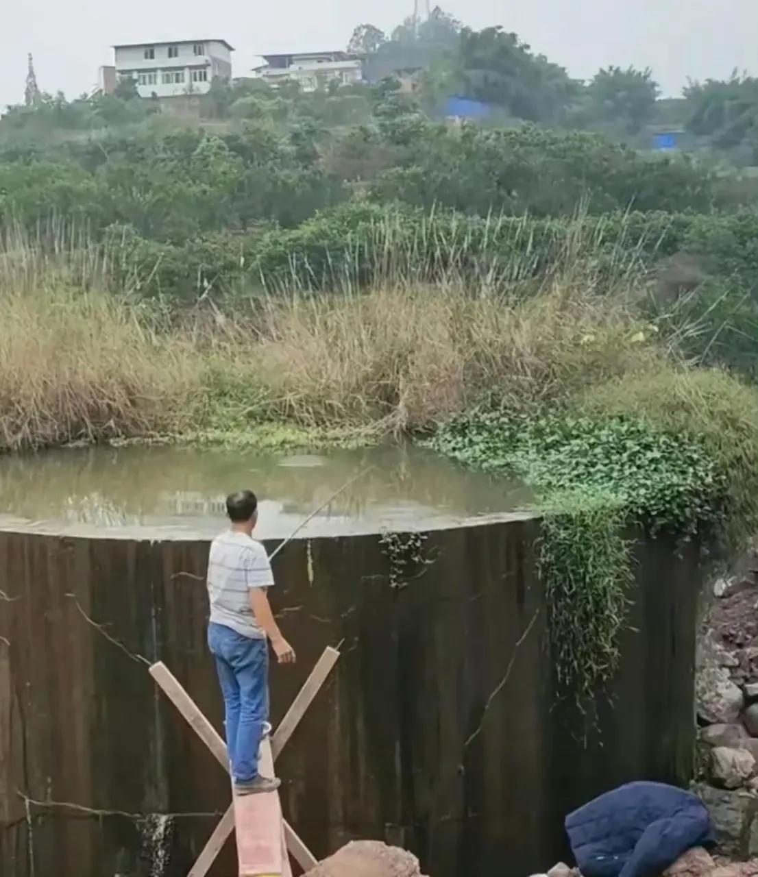 水洼从没人放过鱼苗，为啥几年后里面却有不少鱼？