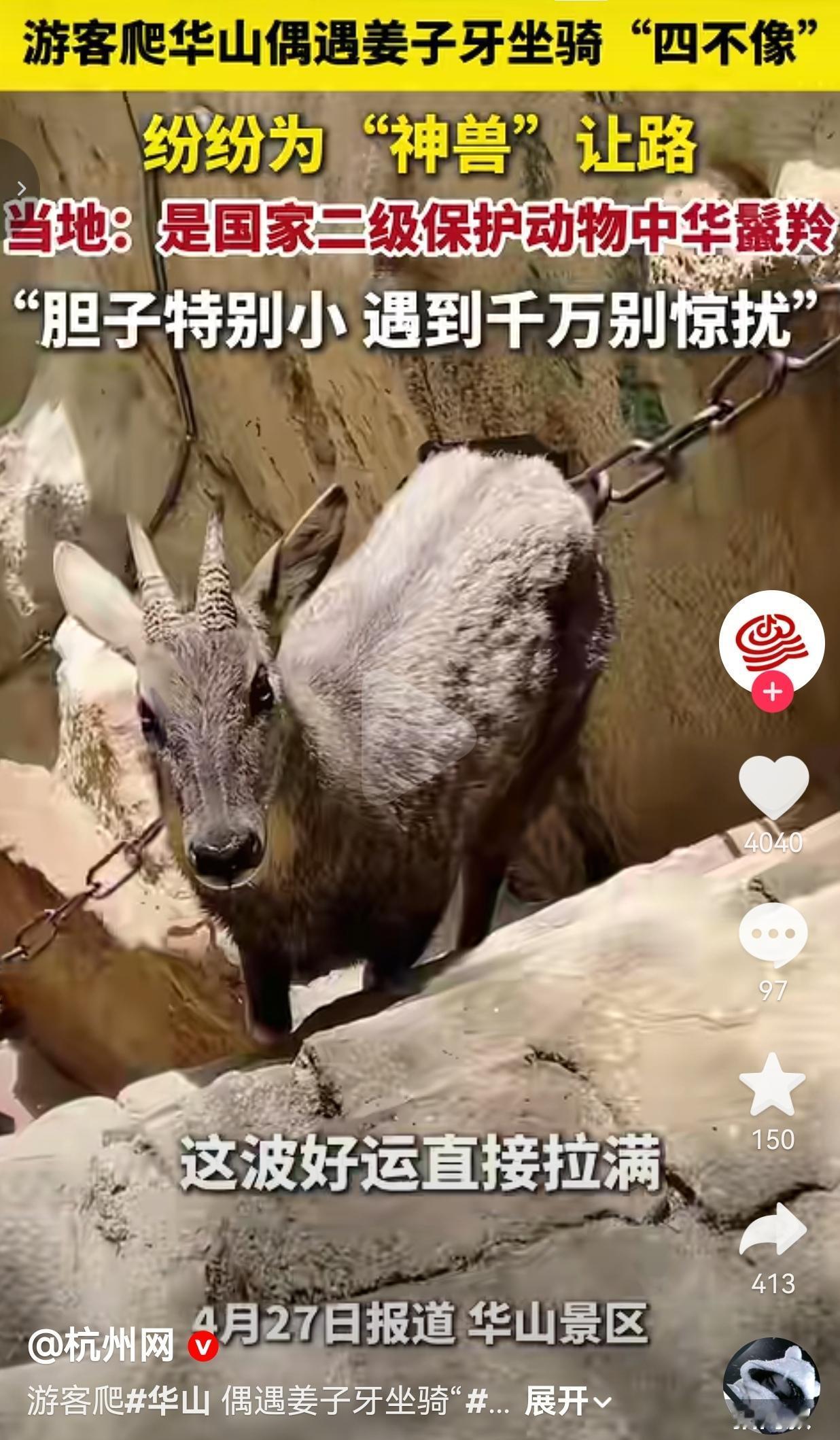 近日，有游客爬华山时，几个游客正攥着冰冷的铁链，一步步往上挪，山路又陡又窄，大家