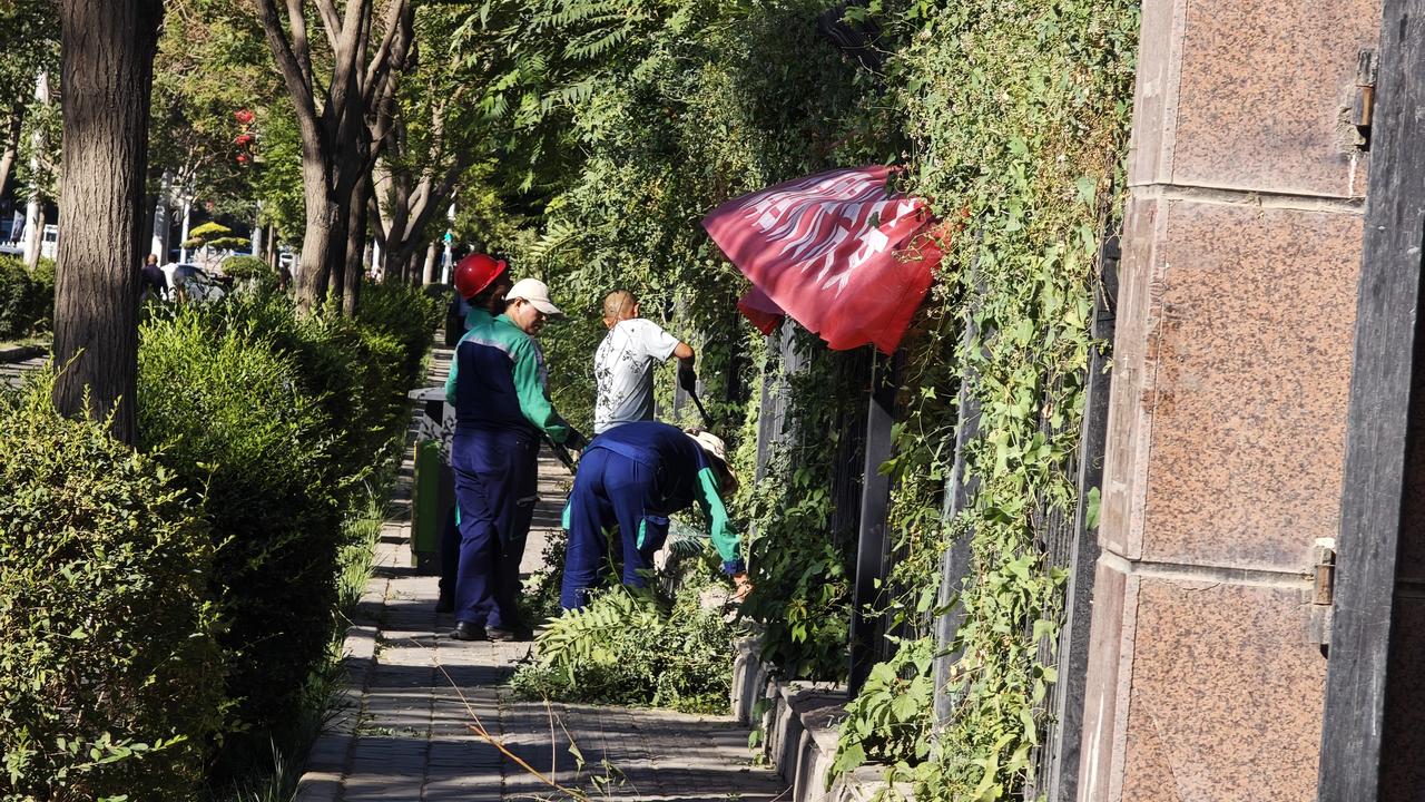周二，给塔里木油田物业打了个电话，反映小区外，一些带刺的植物伸出围栏，有时会挂住