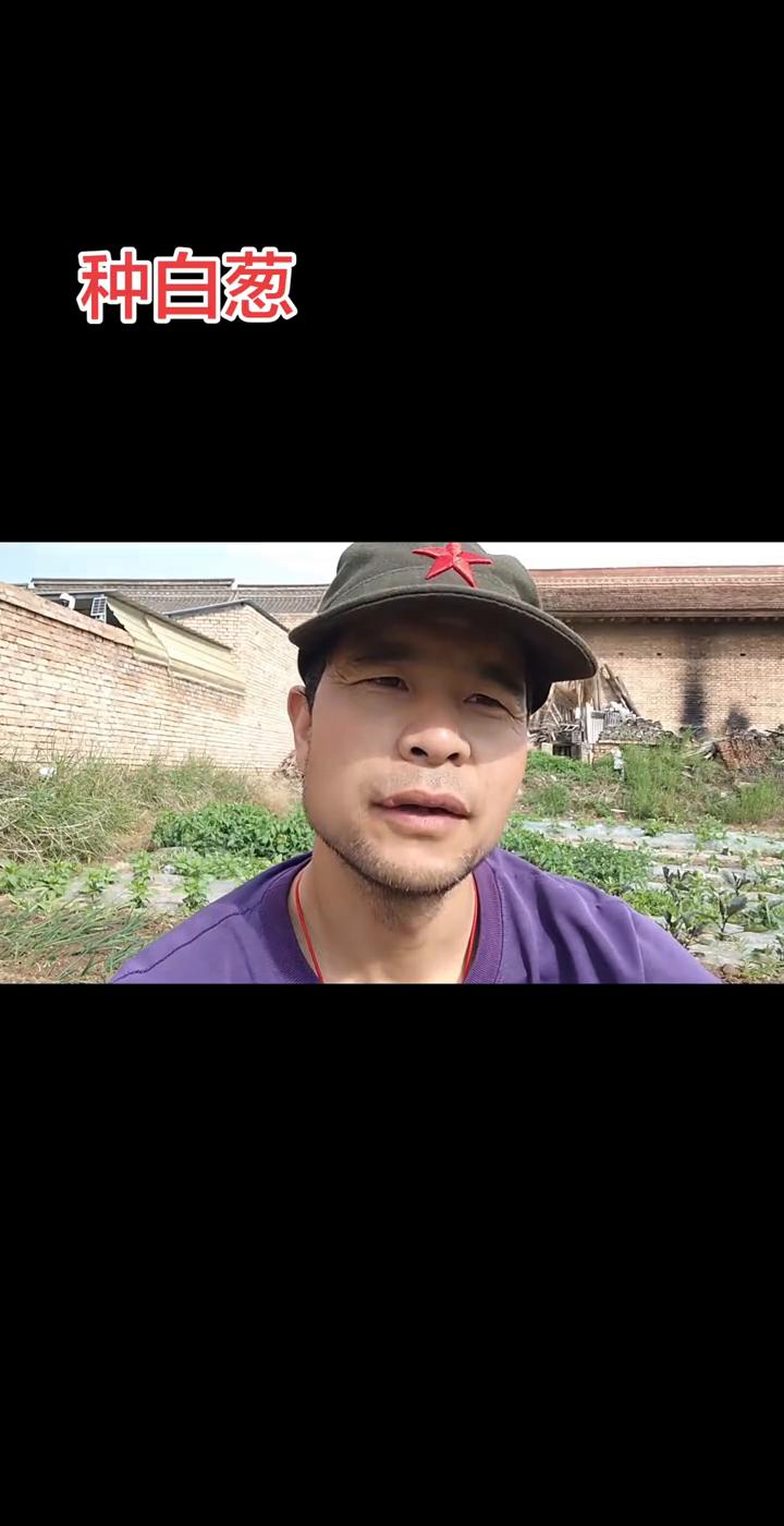 种白葱。
hello大家好，我是翔哥。好久没拍田园视频，尤其是地里干活的视频，希