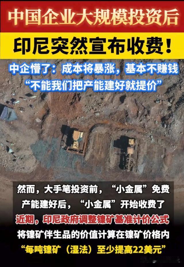 以规则破局，以实力立威——中方反制印尼镍矿收割的应对措施
 
印尼能源与矿产资源