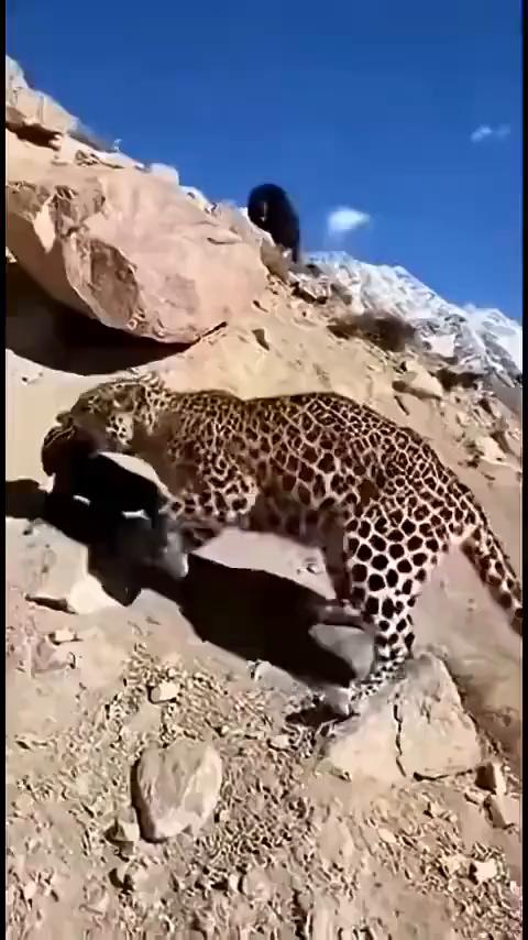 啊，啊，啊，啊，啊，啊，啊，啊，啊，啊，啊，啊，啊，啊，啊，啊。