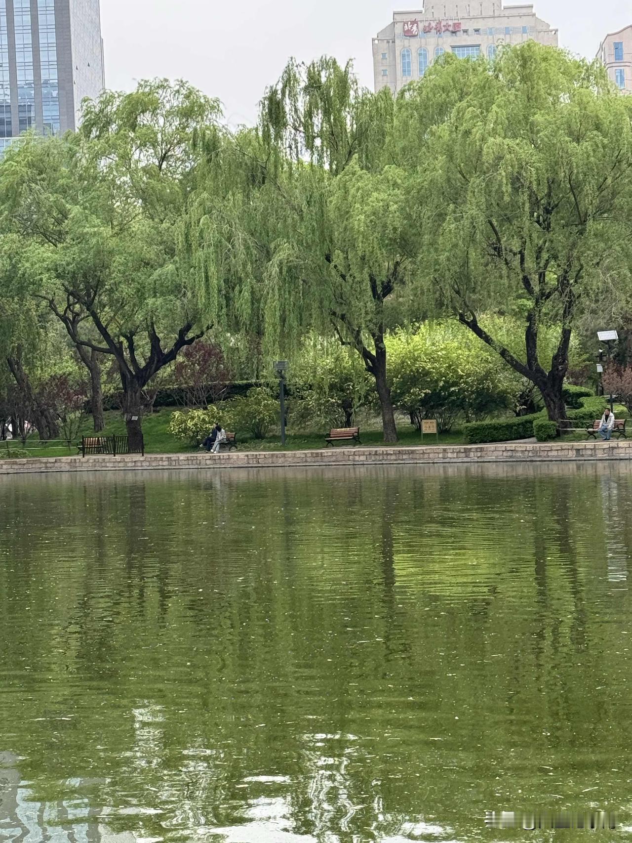 在北京多年了，早上出门的时候不多。
今天早上出门是因为接外出研学回来的孩子。
出