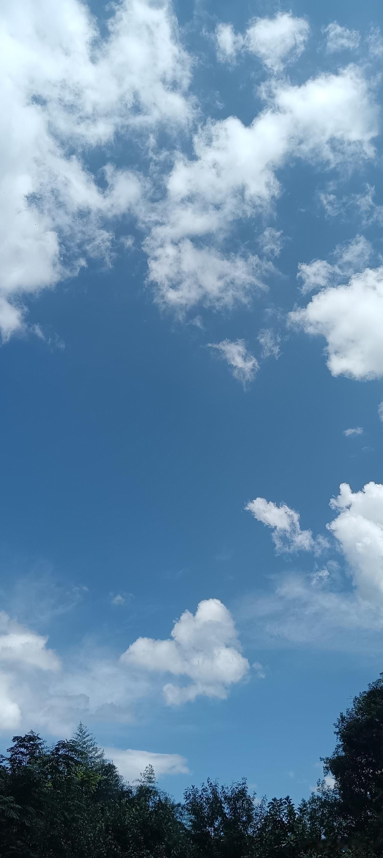 夏日生活打卡季