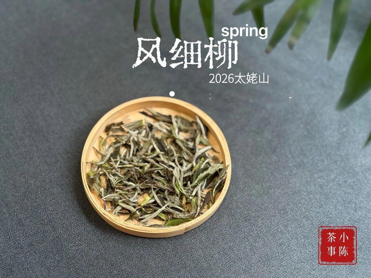 福鼎白茶，会不会步入铁观音的后尘？
白茶会不会步入铁观音的后尘，我们对比一下就能