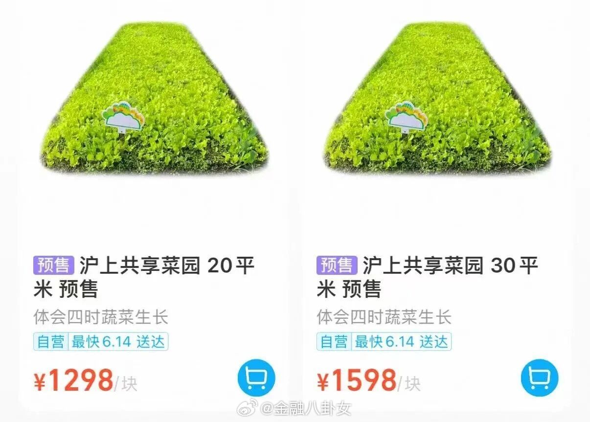 现在中产都开始搞共享菜园了么，1300一块地，你们觉得咋样