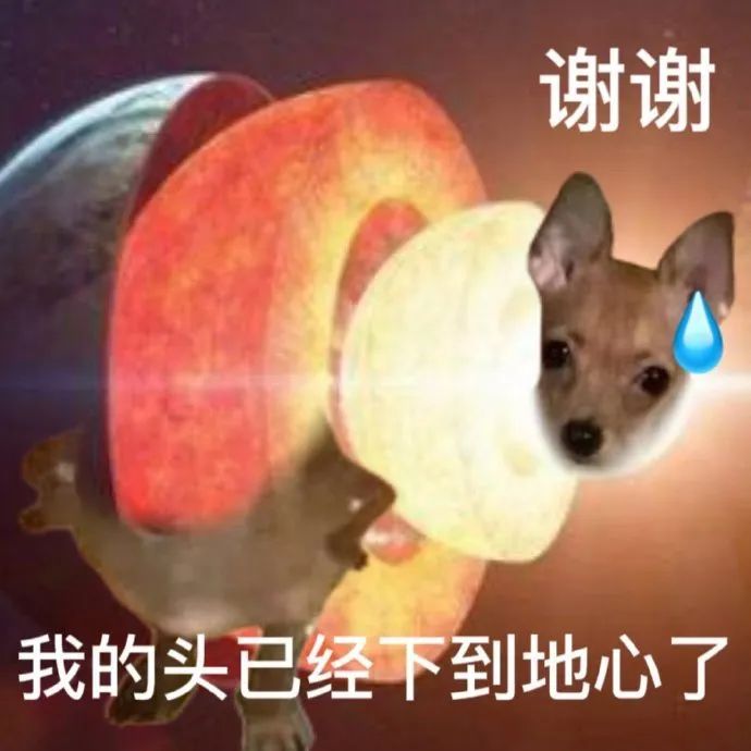 热门沙雕表情包 更新不易，拿图点赞[心]更多表情包请看主页[心] ​​​