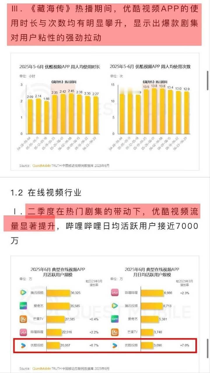 QuestMobile2025上半年报告唯一提及的剧集是《藏海传》，报告说藏海传