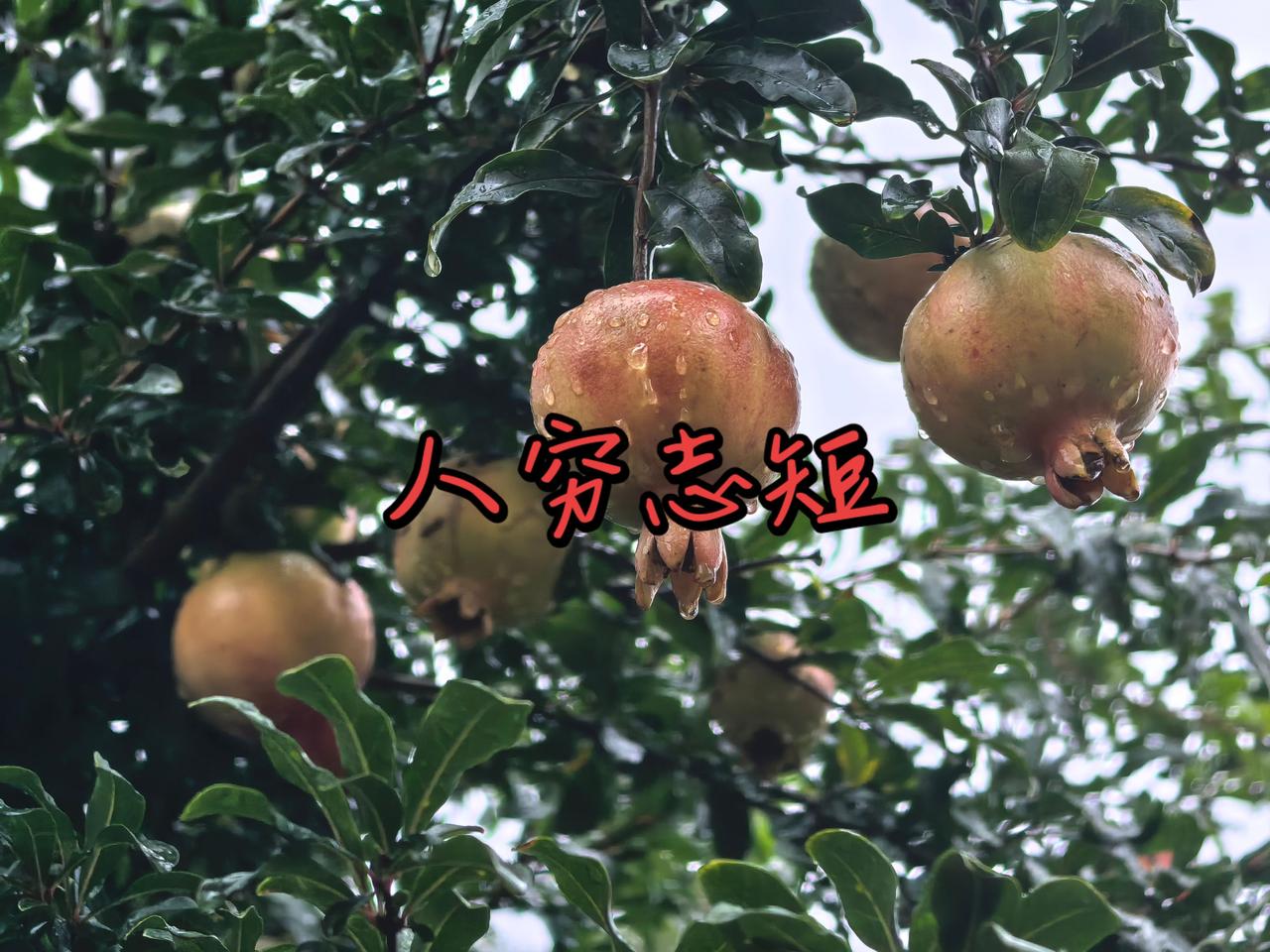 人穷志短少说话
