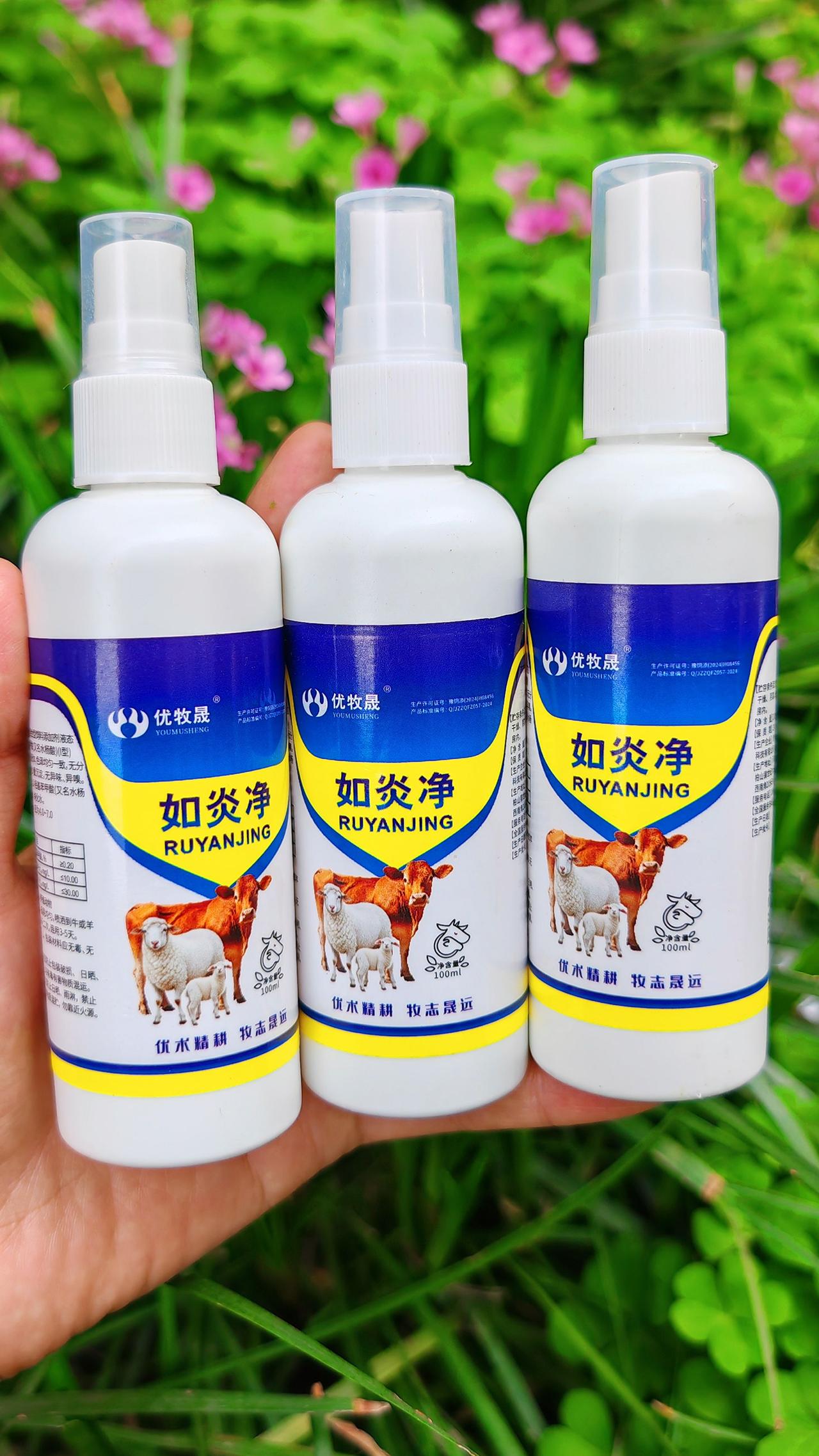 养羊人 农村养羊 牛羊养殖