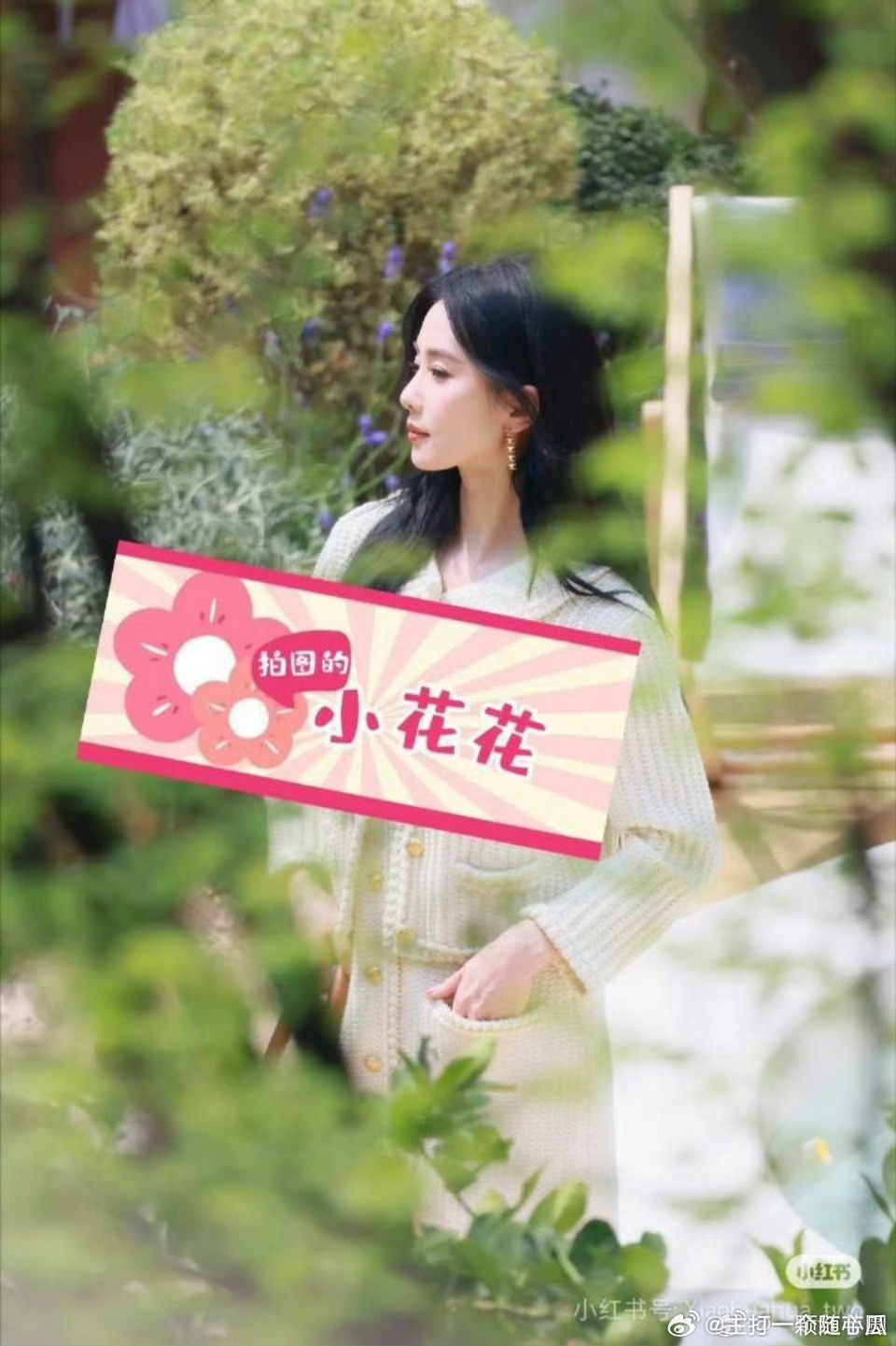 Celine品牌活动 ​​​: 刘诗诗 陈哲远  董思成 生图有 ​​​