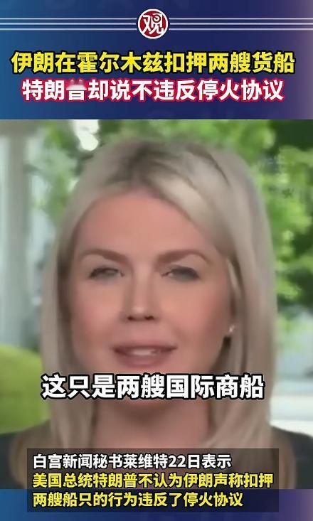 伊朗这次是真敢干，直接在霍尔木兹海峡扣了两艘国际货船，放在以前美国早炸毛了，又是