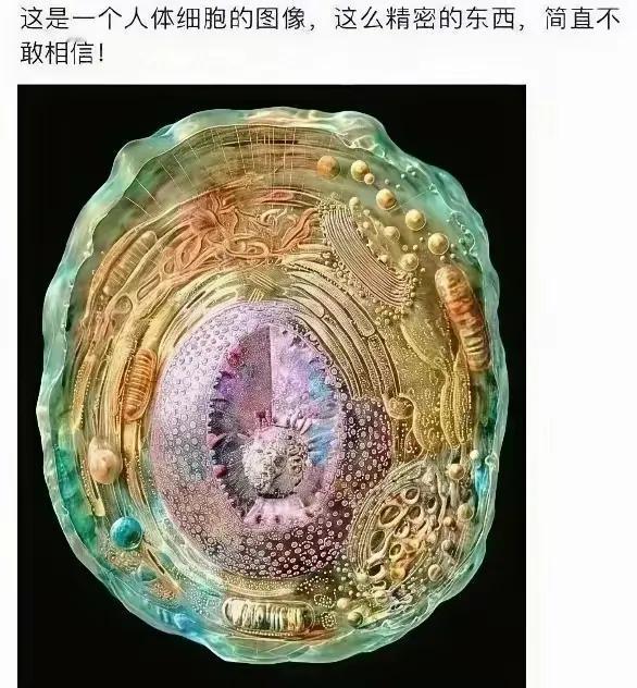 这竟然是我们的人体细胞，真是炸裂了我的眼。
我们的人体细胞呀，多么渺小，里面竟然