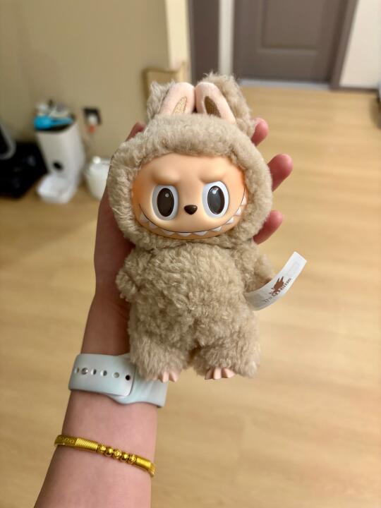 直女的第一个labubu
