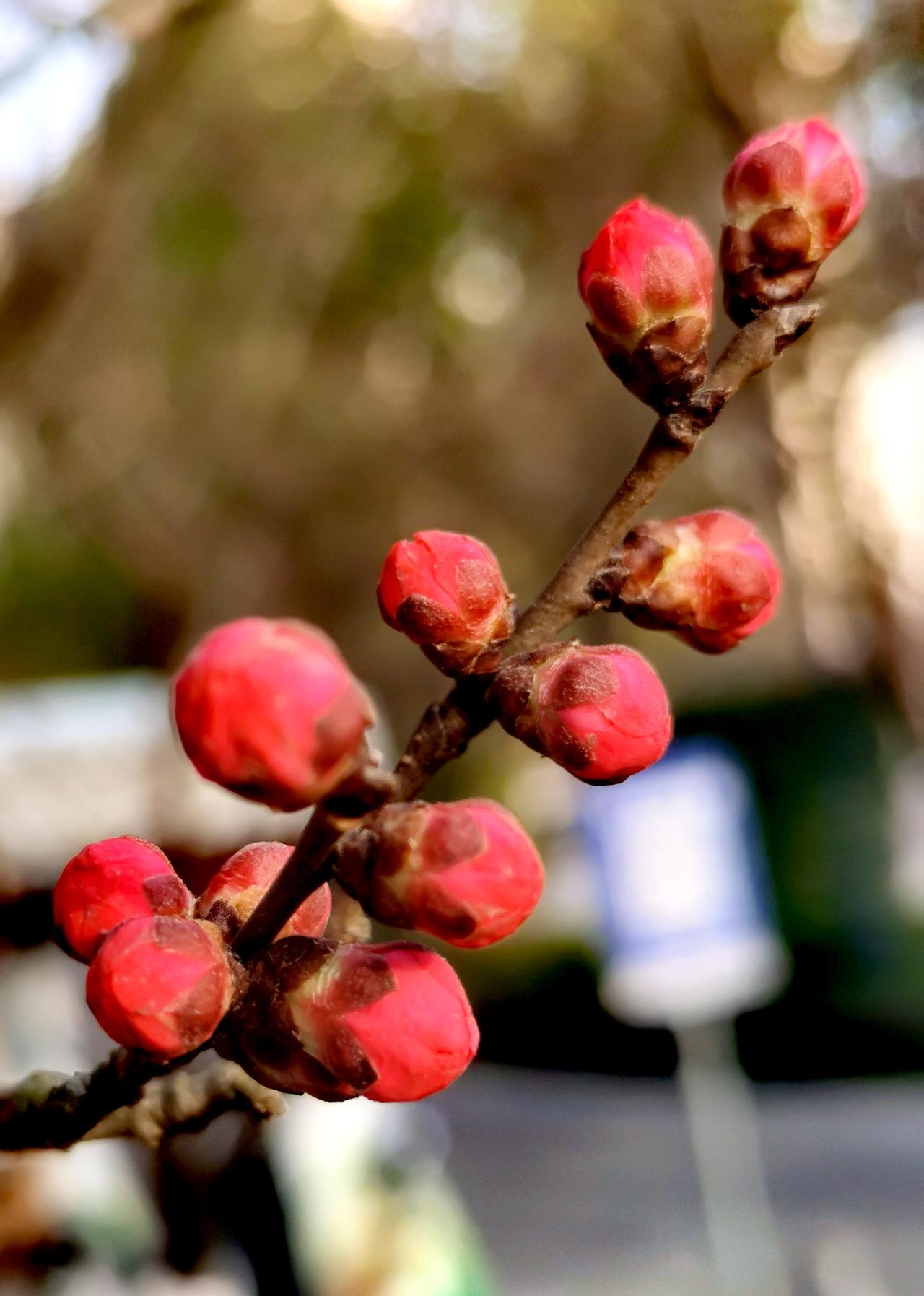 汉中天汉文化公园随手拍