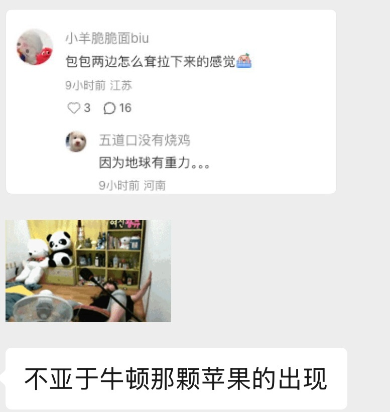 鸟顿….. （可以跟下面扣起来，不扣的时候特别像小烊头，萌之） 