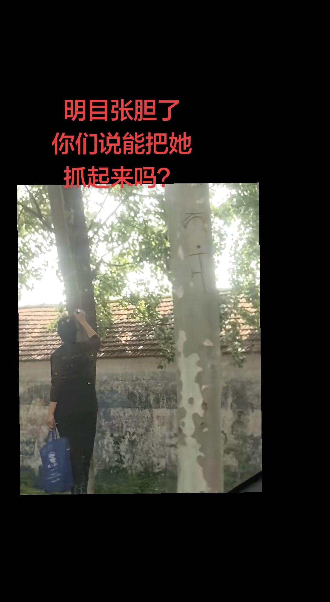 上热门 暗号 符号 原创视频 不可思议
