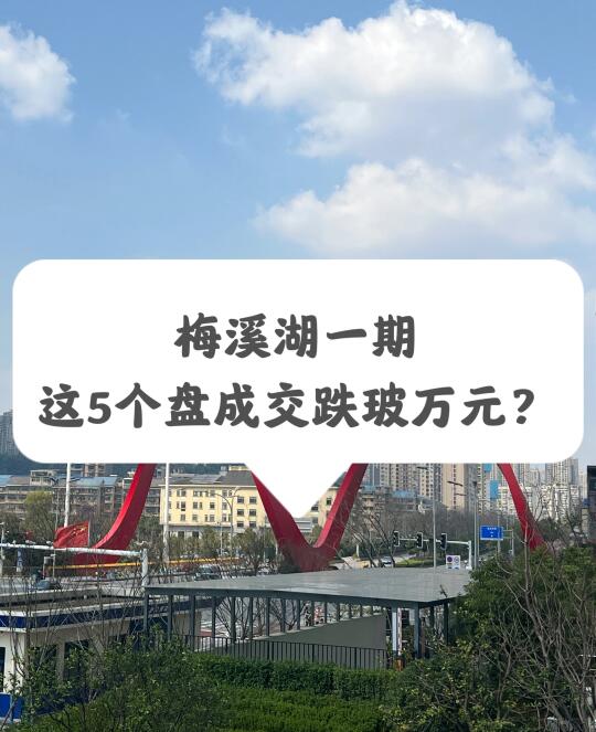 梅溪湖一期，这5个盘成交跌玻万元？