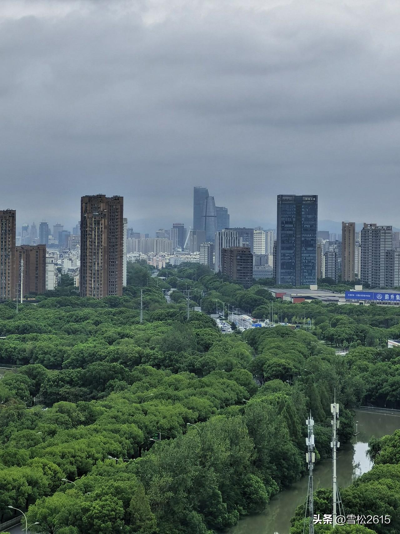 白海豚过了，世界都凉快了

台风白海豚过了，雨水却留下了，连续三天的酣畅淋漓，终