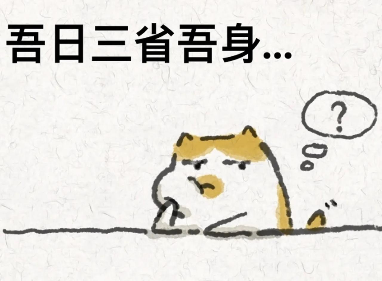 吾日三省吾身，知行合一乎？主线专注乎？龙头跟随乎？