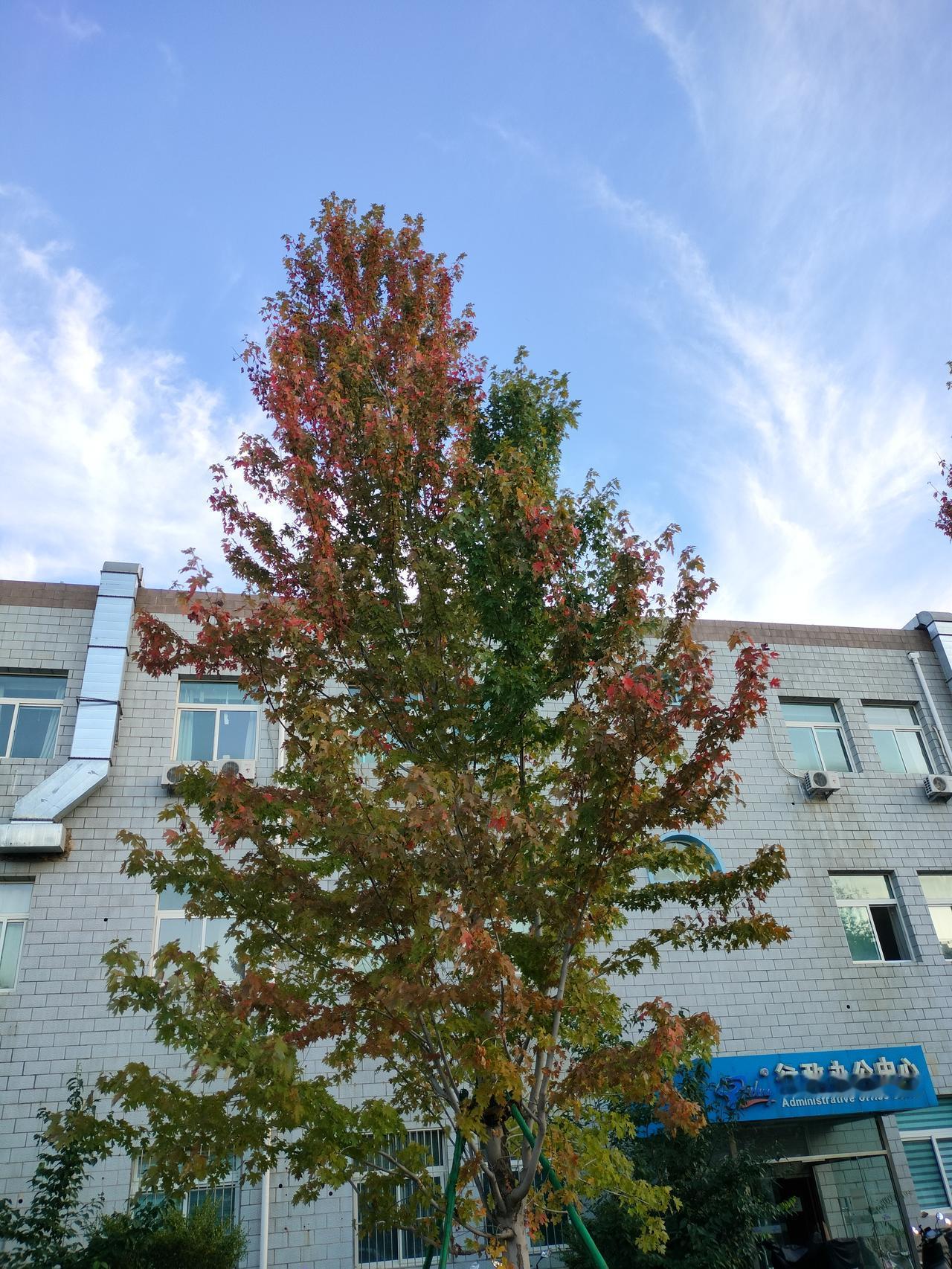 是谁整垮了实体店整垮实体店的原因很多，但是多数都是因为涨房租的房东，整垮了实体店