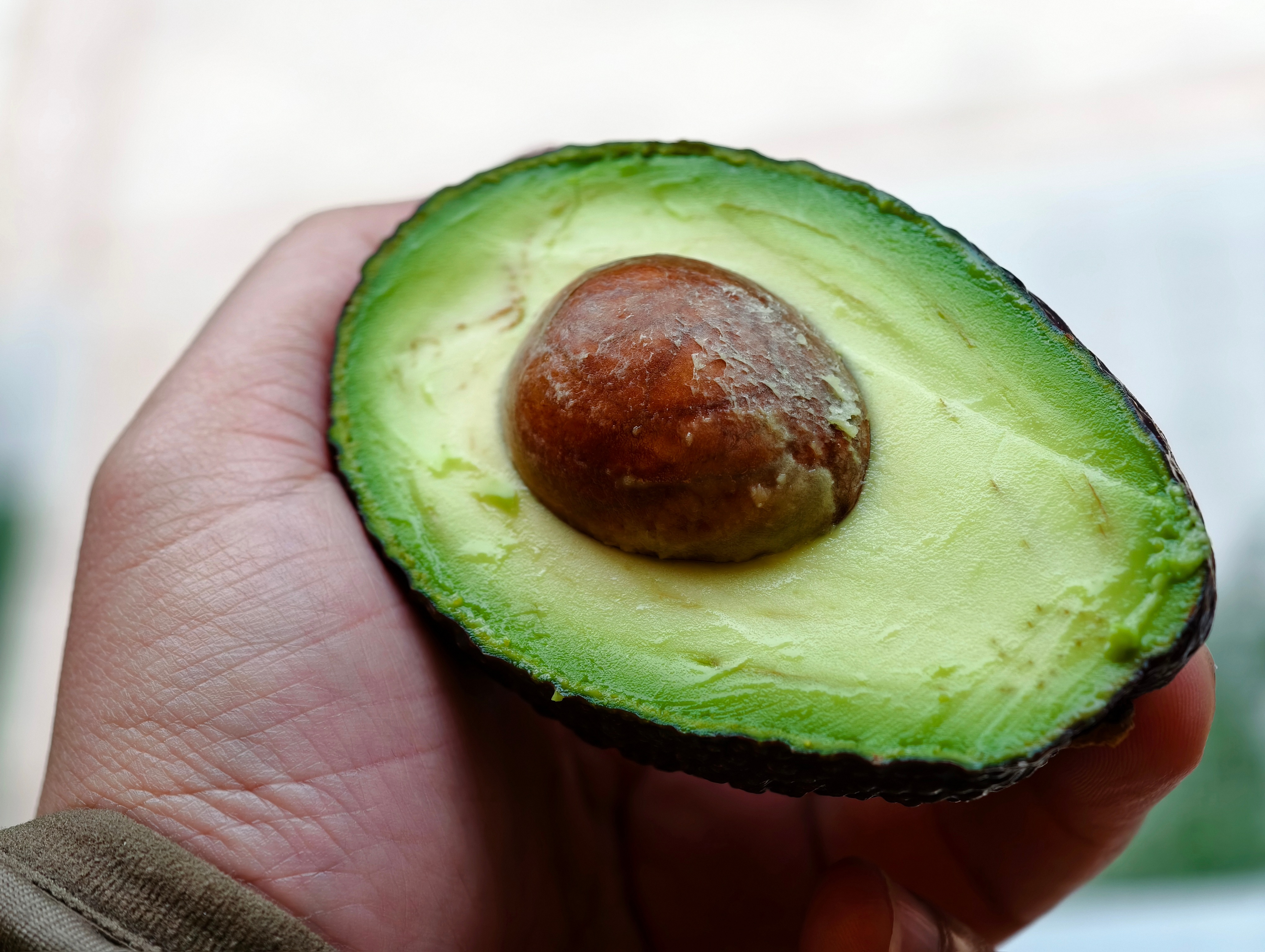 牛油果是不是属于被高估的水果，价格贵感觉又不好吃，不如吃榴莲。[色] 