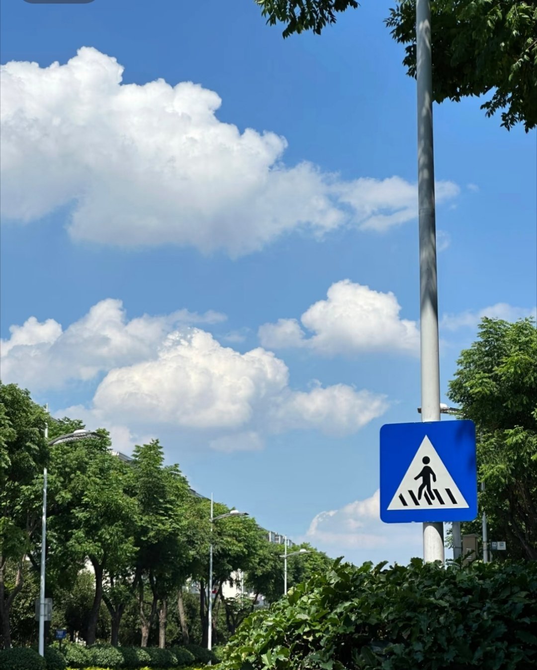 早安，周二愉快～太阳偷偷探出脑袋大放暖意，云朵懒懒飘在蓝天。甩掉前几日阴晴不定的