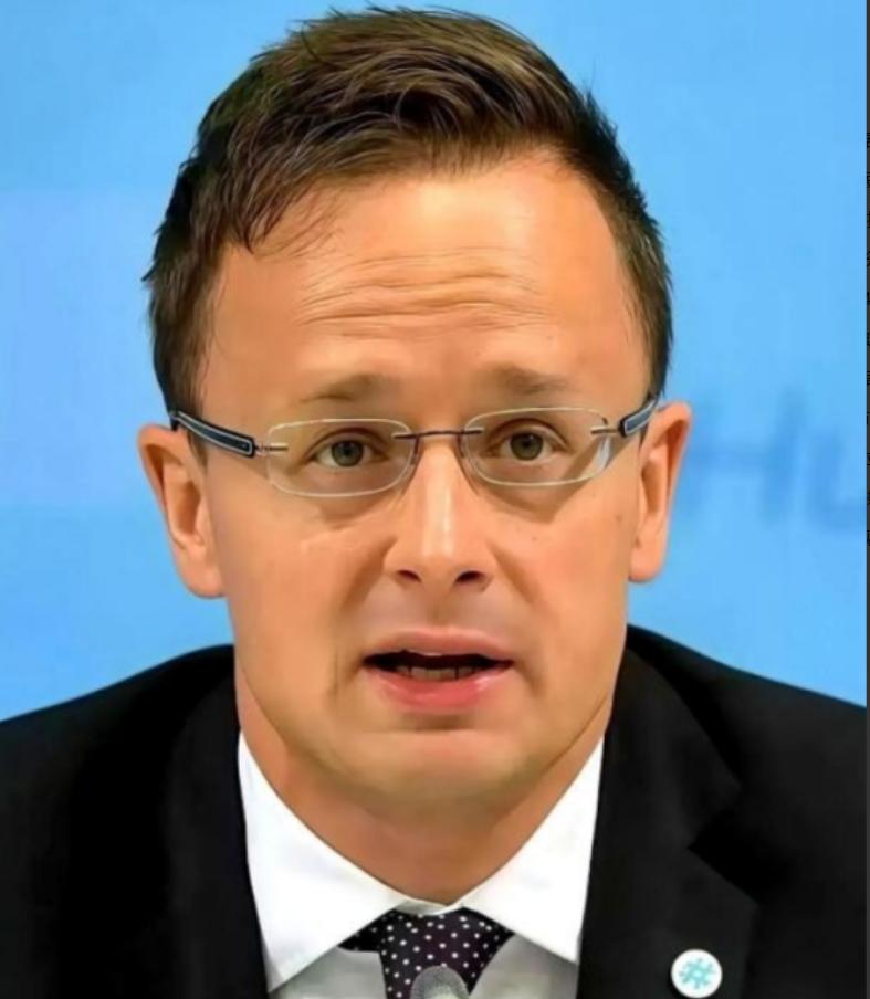 全欧洲恐怕都得被匈牙利外长这句话噎一下，他直言：“跟中国合作，不是可选项，是欧洲