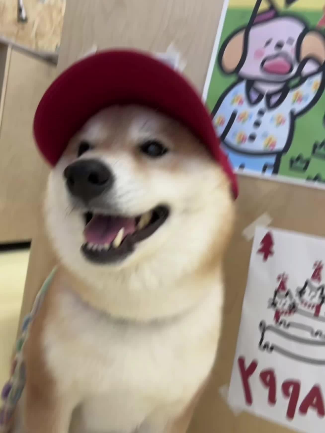 你一句外卖放门口，我们错过了一次又一次