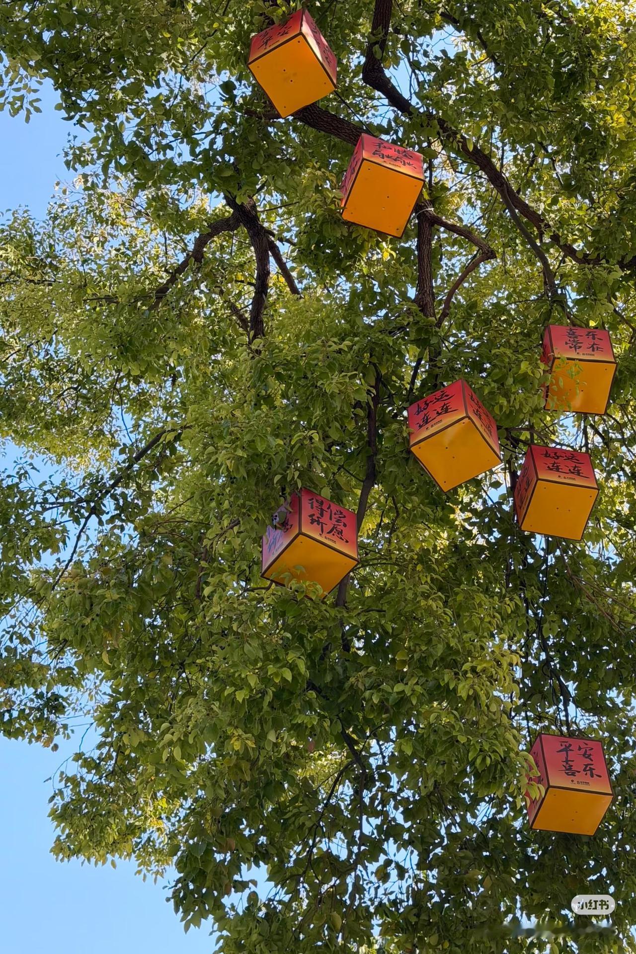 天南地北大拜年