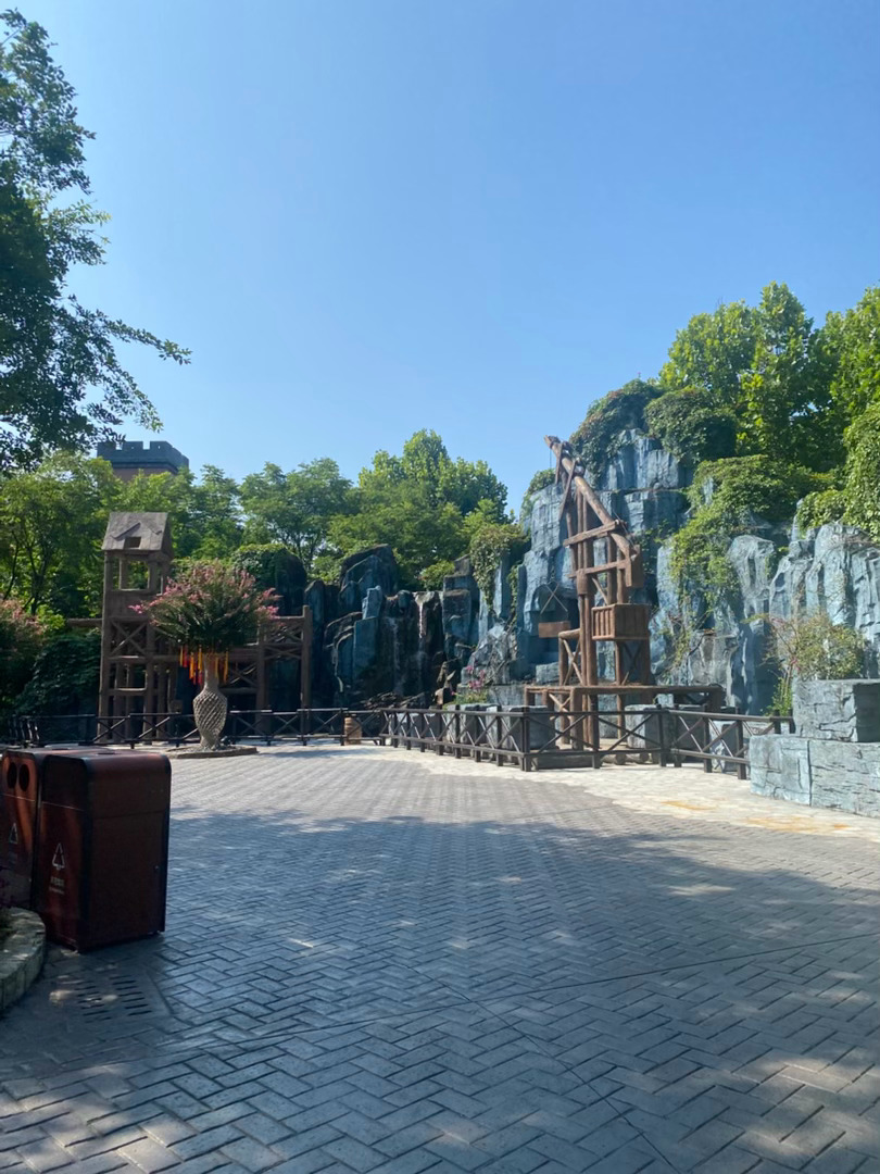 树树树天天 