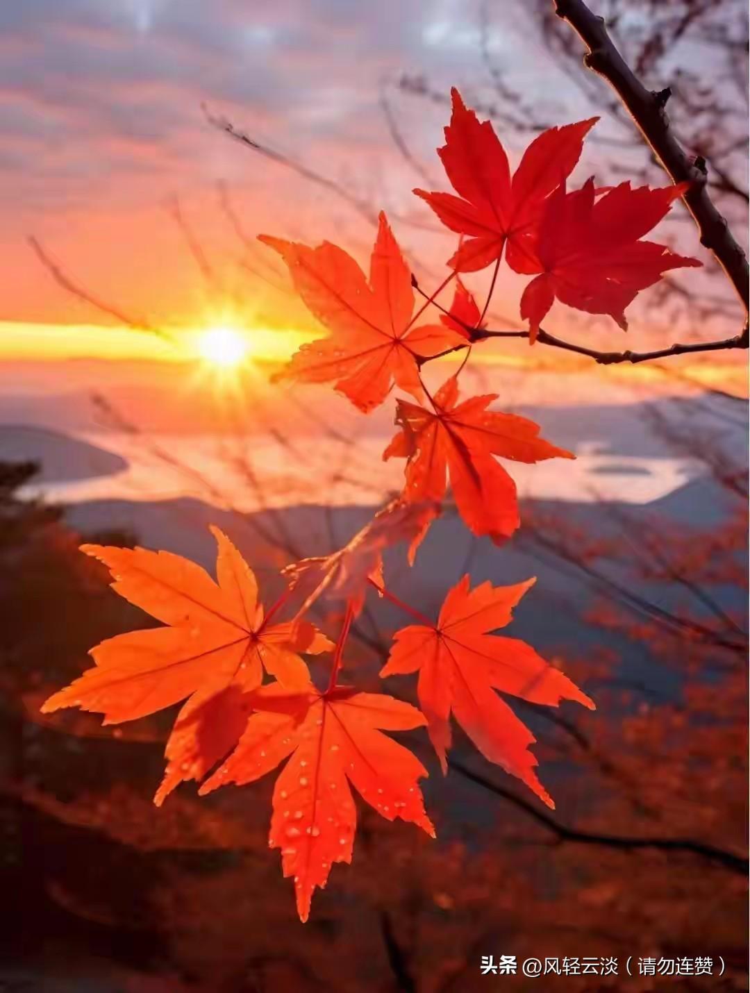 今天周末，外面下着淅淅沥沥的雨，孙子孙女不用上学，我也能偷个懒多睡会儿懒觉。
 