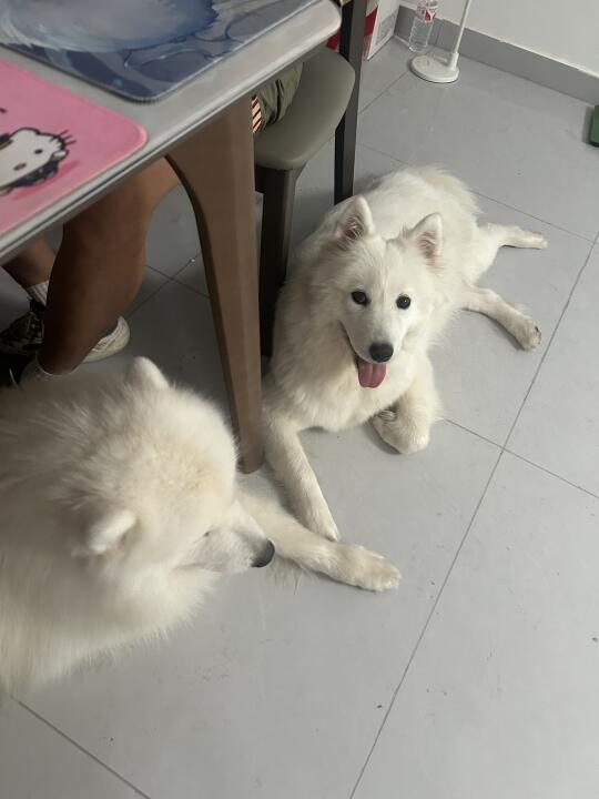 知道哥哥明天要走了 所以牵手嘛？