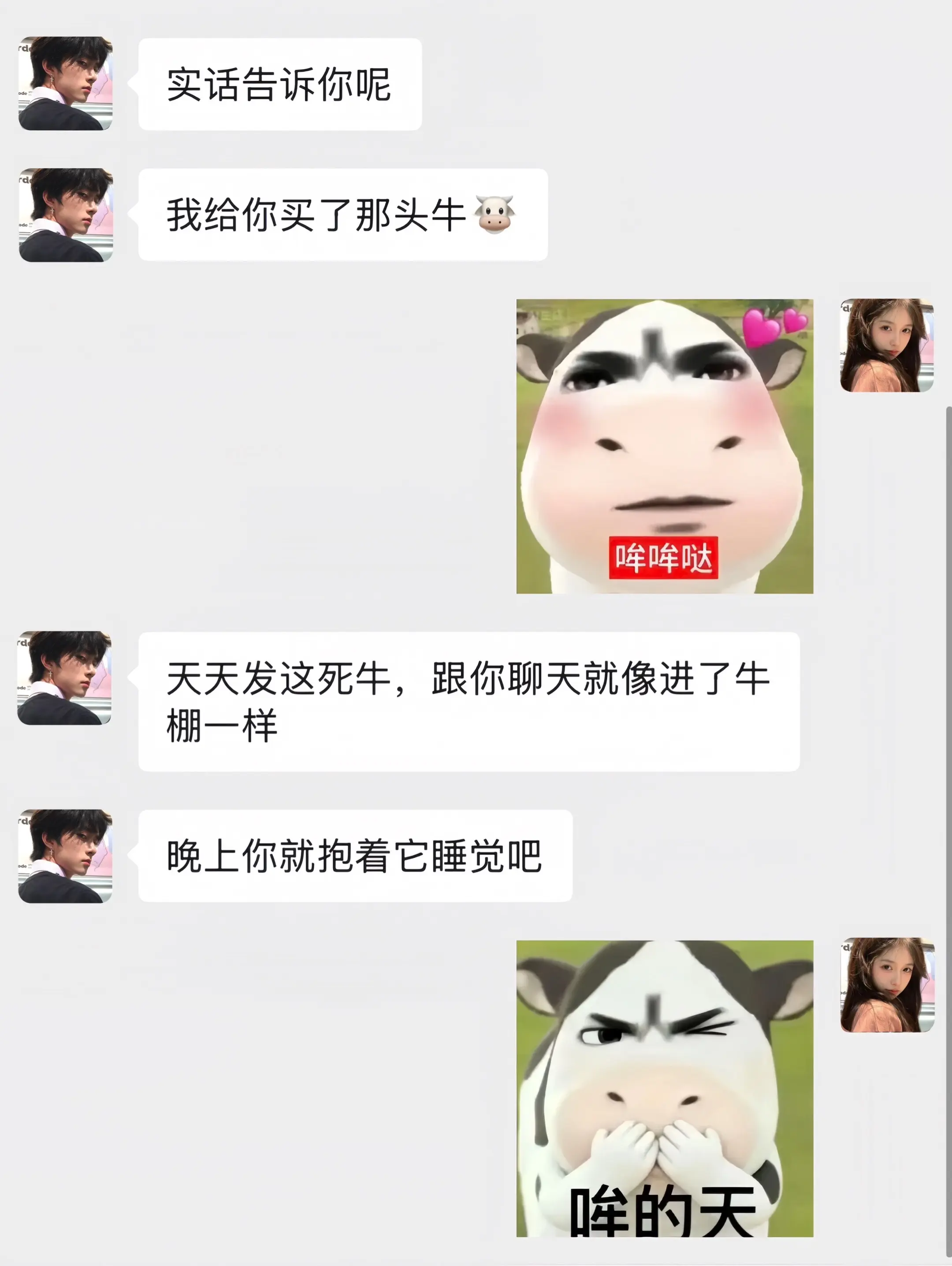 你也会为本牛着迷吧！