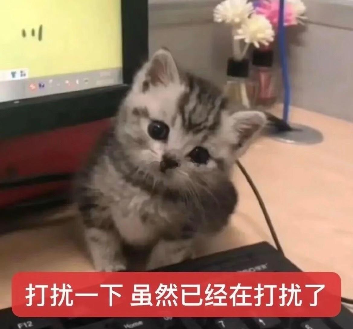 我很好奇你们是因为什么关注的我呀或者对我的第一印象是什么呀（呜呜呜不要冷场啊我会