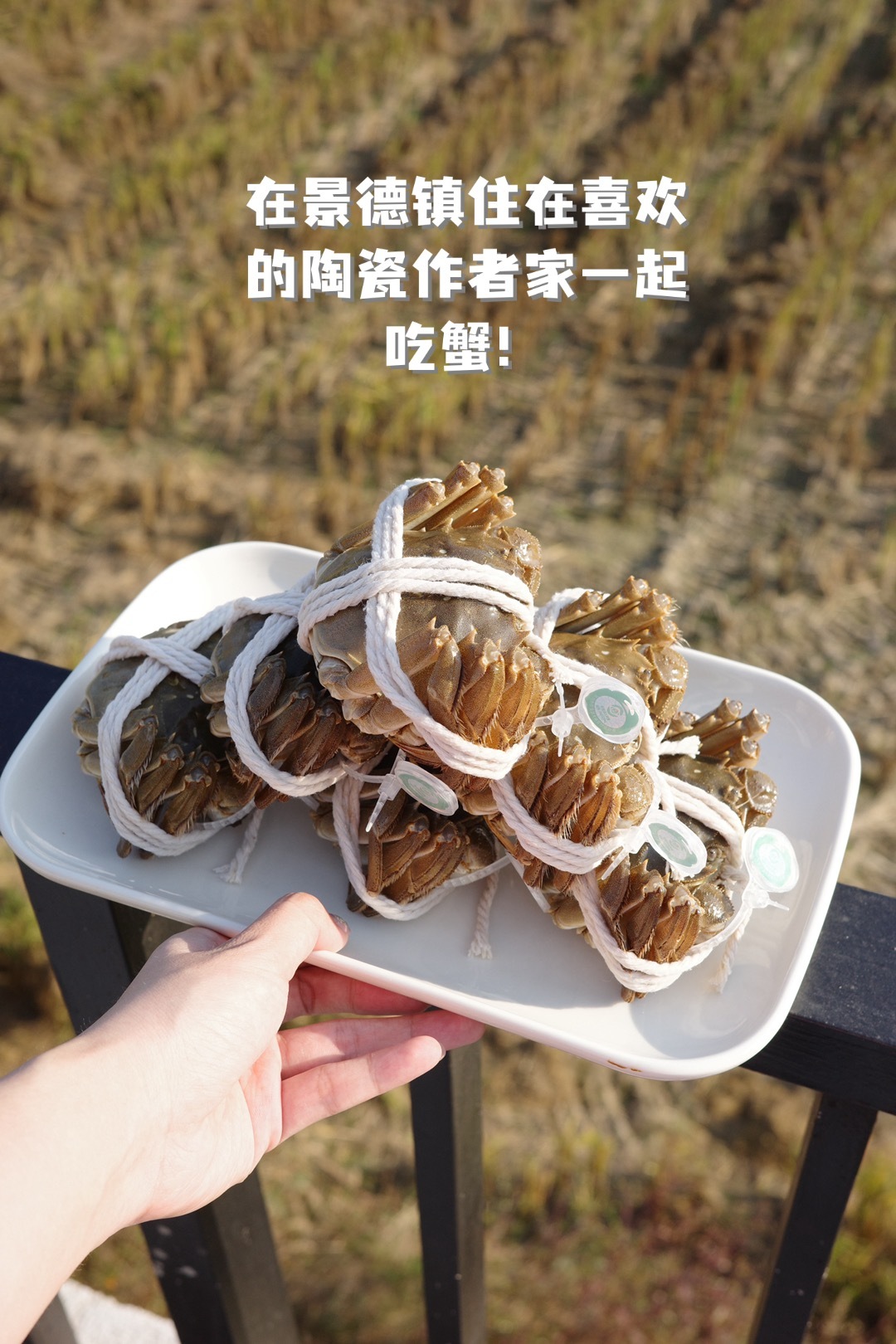 人在景德镇也吃到了喷香流油的大闸蟹🦀！揪两个幸运观众每人送一箱！就还是去年那家
