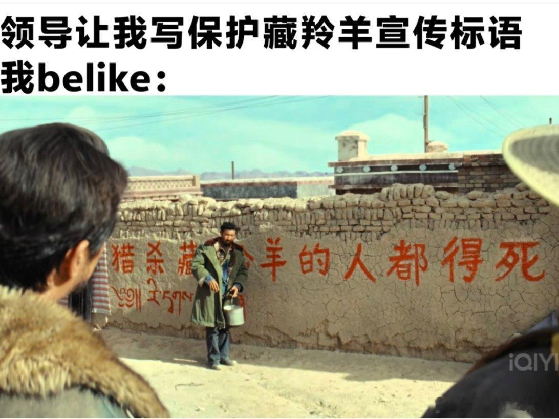 领导让我写保护藏羚羊宣传标语be like后面就被制裁了这谁能绷得住啊，看一次笑
