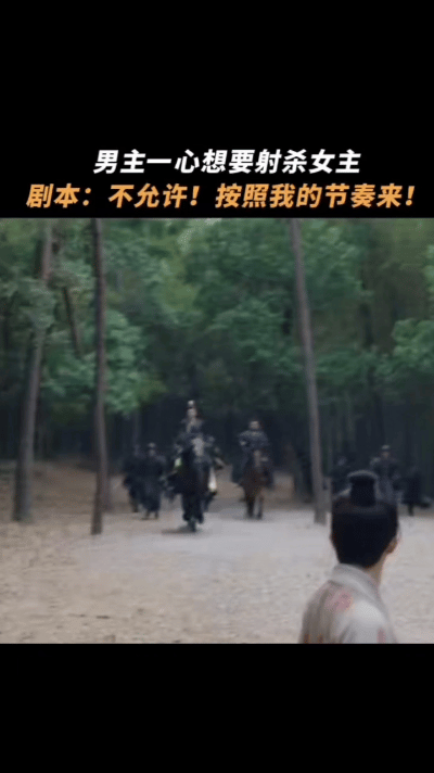 传说中命很苦的男主出现了  南珩这男主也太逗了，想射女主却反手挡箭，自己跟自己打