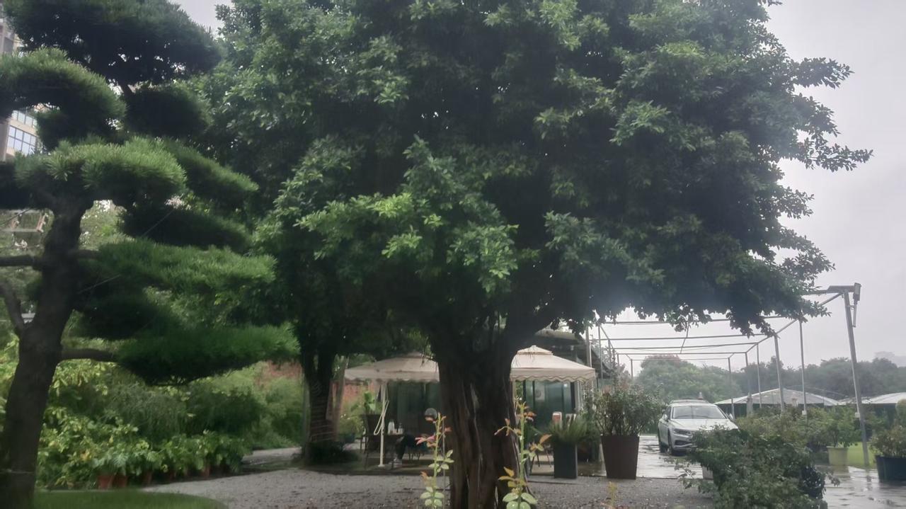 真是让人又无奈又头疼。
我老同学爸妈办大寿，费用要儿女承担，还要准备好烟、包车接