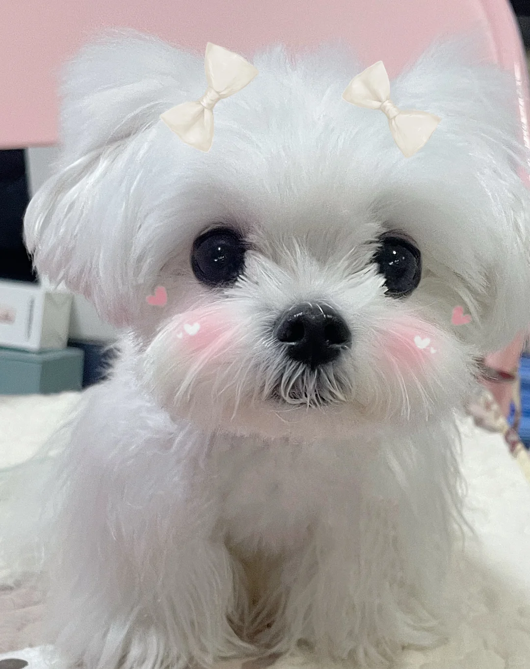 大脸攻击，biu biu biu 💕