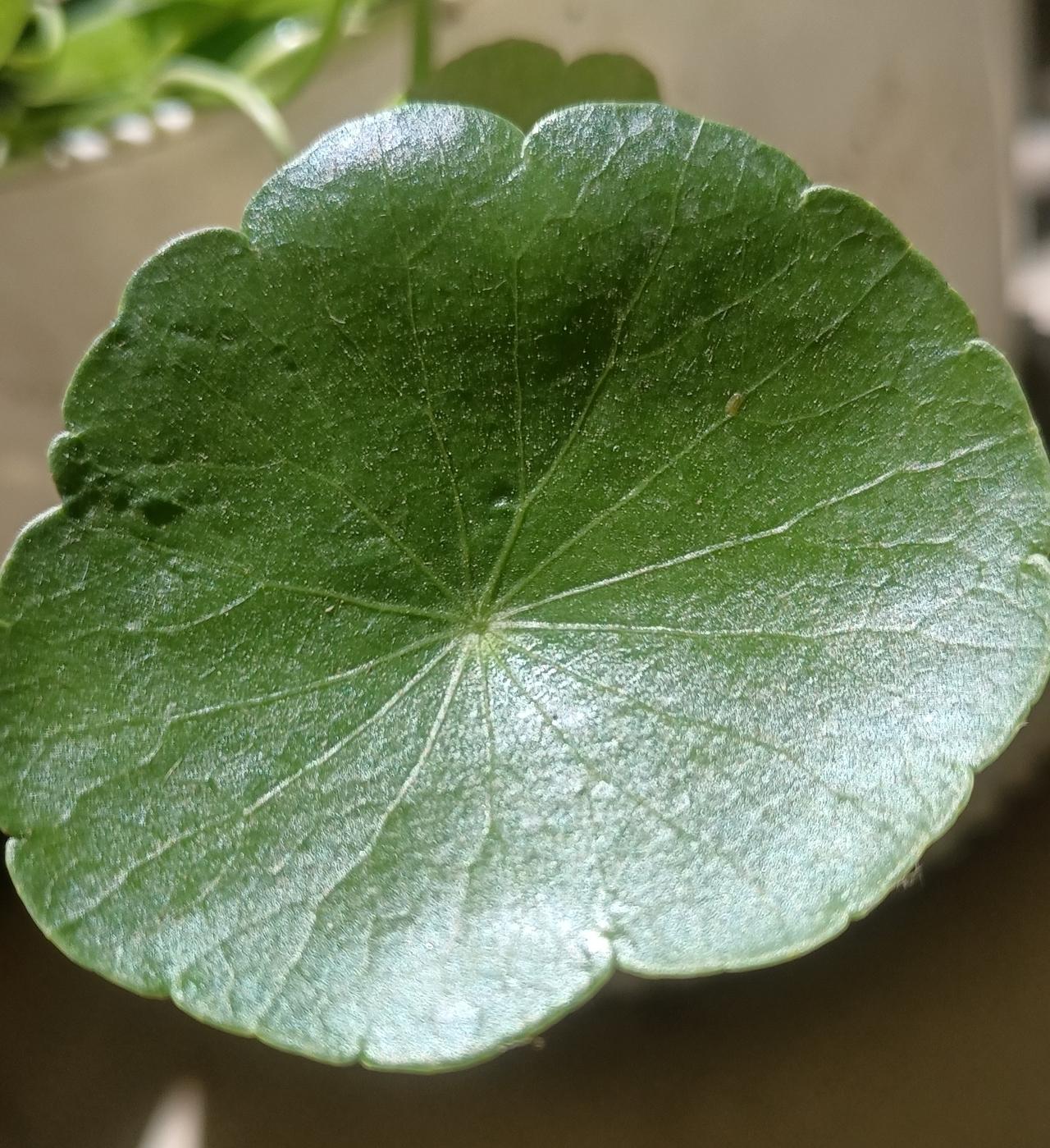 【夏之韵·人生就是一场体验】我的今日随笔
在最艰难的时候，别老想着太远的将来，只