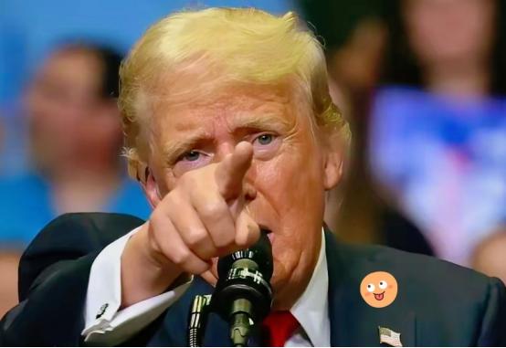 美国彻底不要脸了？特朗普要收霍尔木兹海峡20%“过路费”！结果24小时就被打脸！